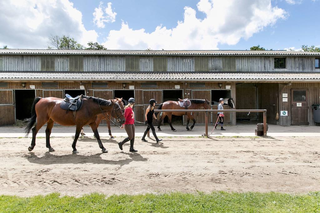 Appartements Les Ormes Epiniac Eksteriør bilde